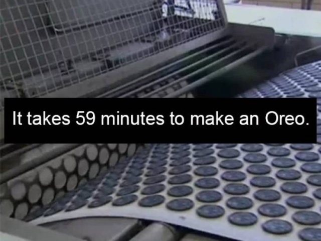 Oreo Facts (17 pics)