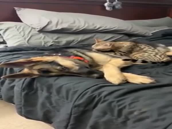 Just Look At That Smile