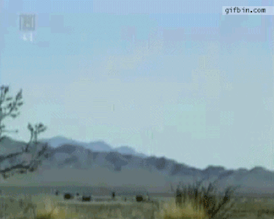 Demolition Of Things (15 gifs)