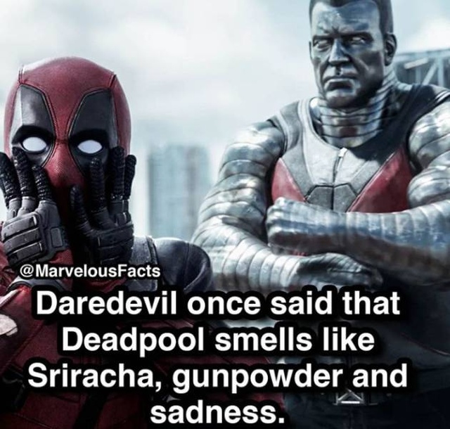 Facts About Marvel Superheroes (37 pics)
