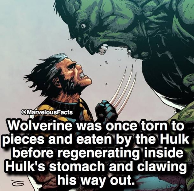 Facts About Marvel Superheroes (37 pics)