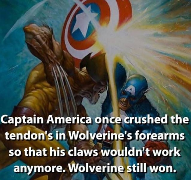 Facts About Marvel Superheroes (37 pics)