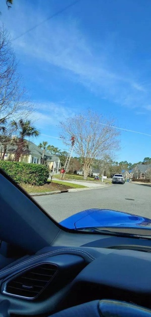 Life Is Dangerous (46 pics)