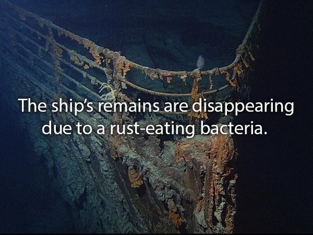 Facts About The Titanic (20 pics)