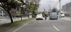 Dash Cam GIFs (17 gifs)