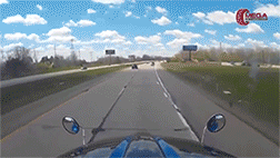 Dash Cam GIFs (17 gifs)