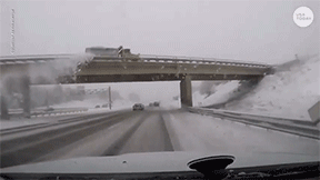 Dash Cam GIFs (17 gifs)