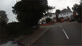 Dash Cam GIFs (17 gifs)