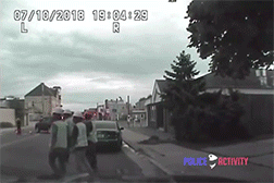 Dash Cam GIFs (17 gifs)