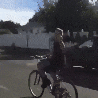 Acid Gifdump, March 12 (25 gifs)