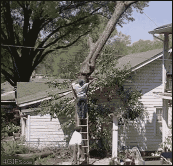Acid Gifdump, March 12 (25 gifs)