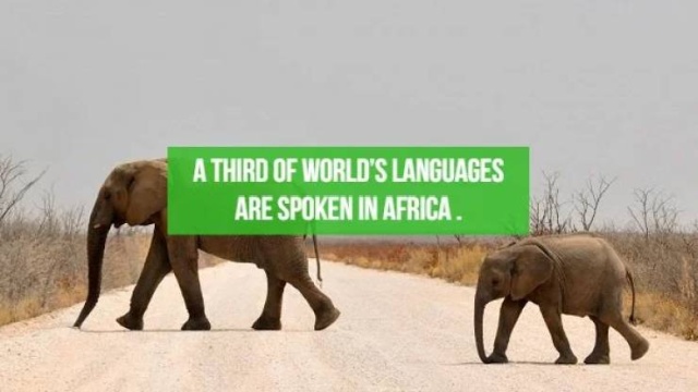 Interesting Facts About Various Countries (22 pics)
