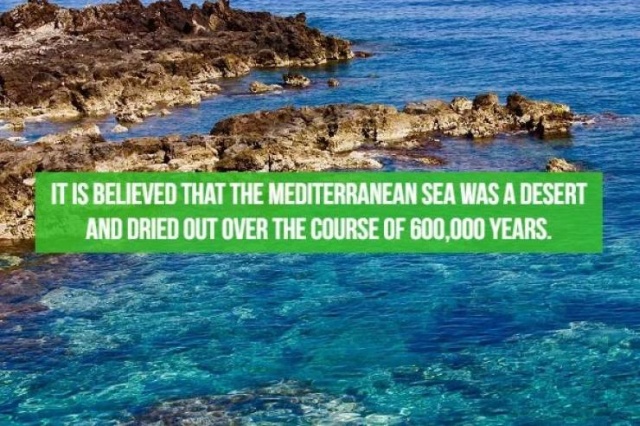 Interesting Facts About Various Countries (22 pics)
