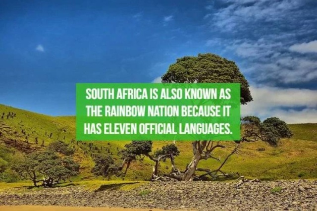 Interesting Facts About Various Countries (22 pics)