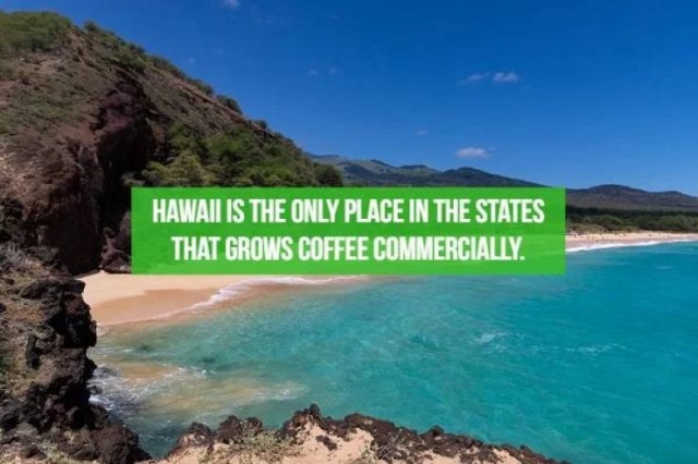 Interesting Facts About Various Countries (22 pics)