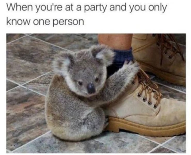 Party Time (28 pics)