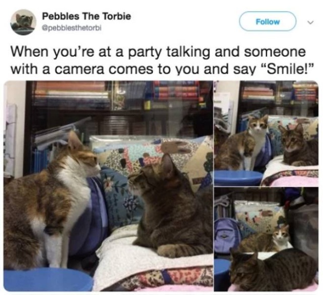 Party Time (28 pics)