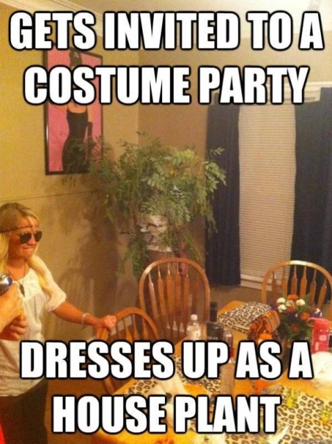 Party Time (28 pics)