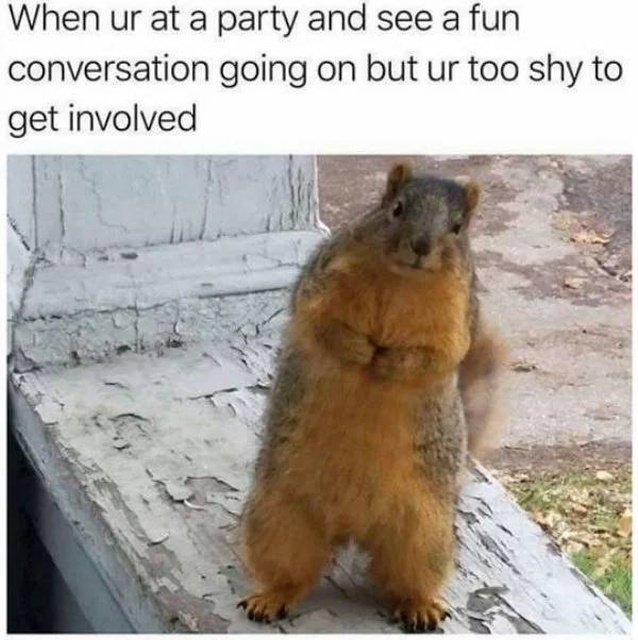 Party Time (28 pics)