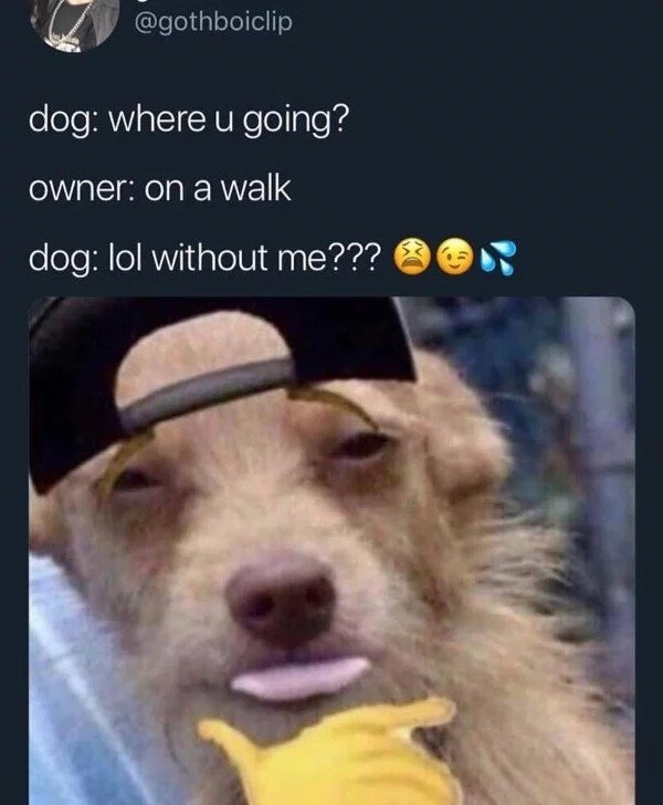 Funny Memes (22 pics)