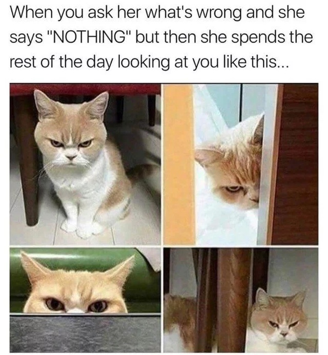 Funny Memes (22 pics)