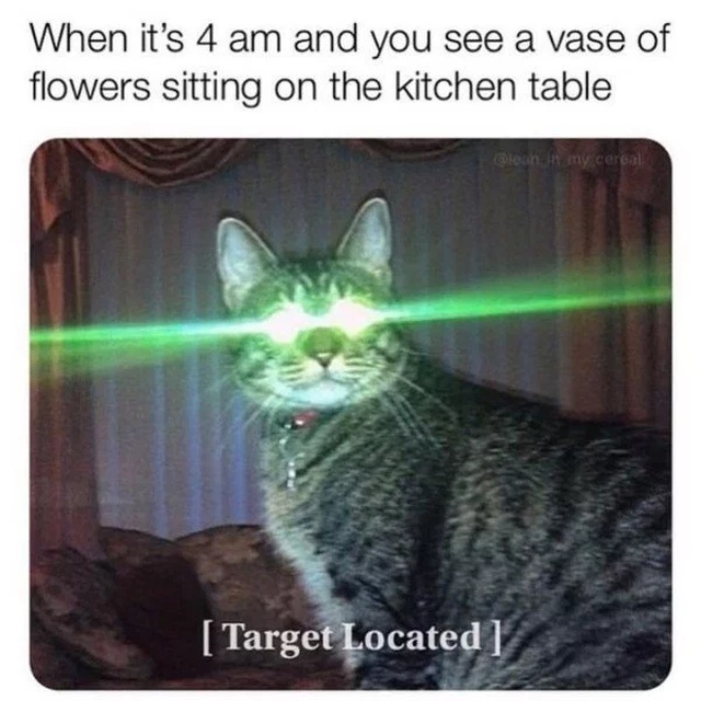 Funny Memes (22 pics)