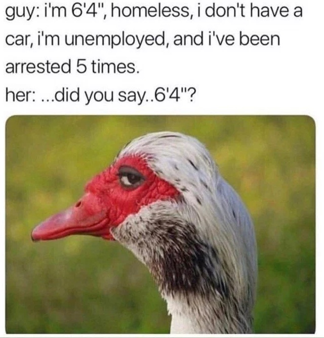 Funny Memes (22 pics)