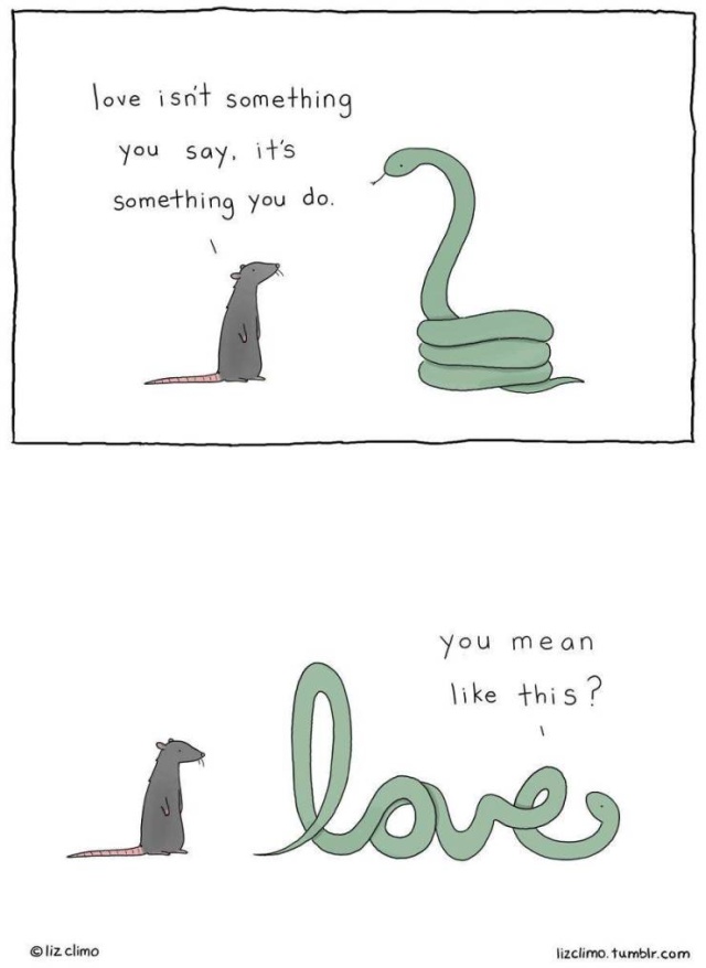 Adorable Cartoon Animal Project (30 pics)