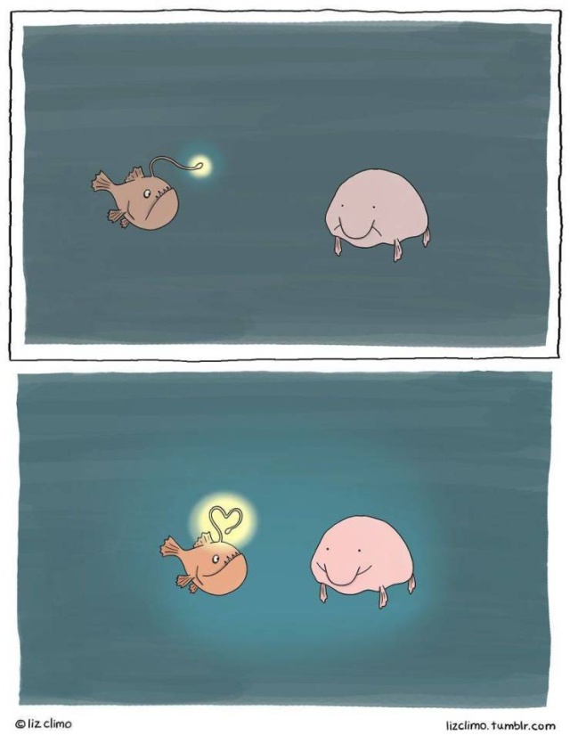 Adorable Cartoon Animal Project (30 pics)