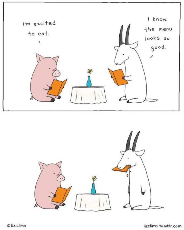 Adorable Cartoon Animal Project (30 pics)