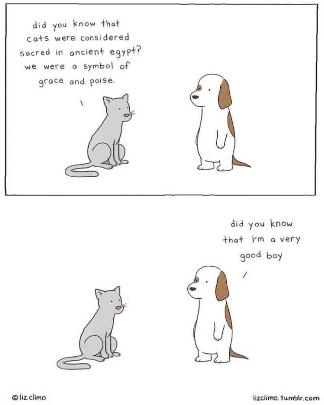 Adorable Cartoon Animal Project (30 pics)