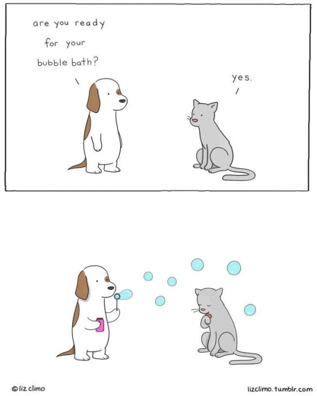 Adorable Cartoon Animal Project (30 pics)