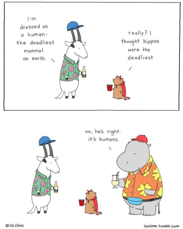 Adorable Cartoon Animal Project (30 pics)