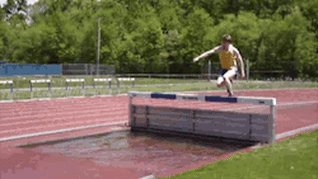 They Almost Made It (15 gifs)