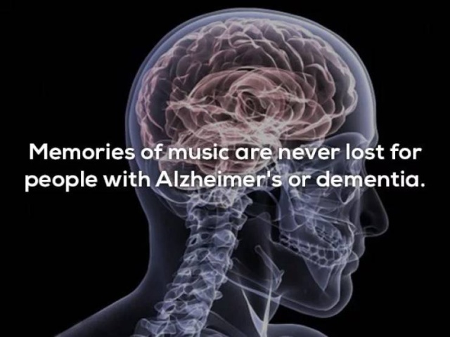 Interesting Facts (20 pics)