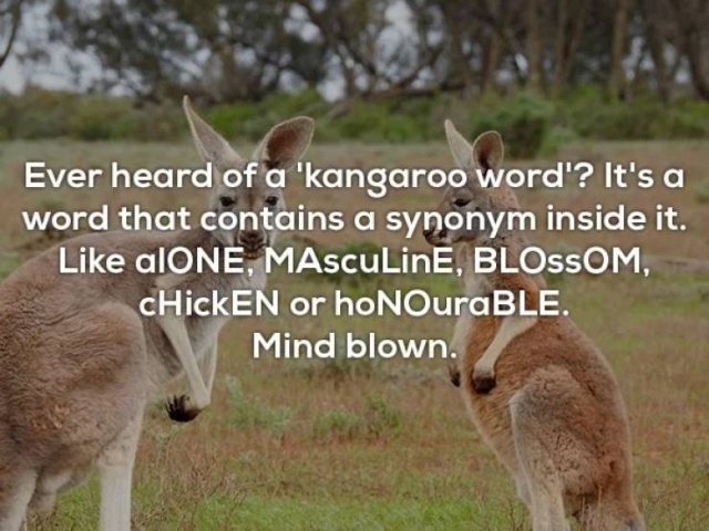 Interesting Facts (20 pics)