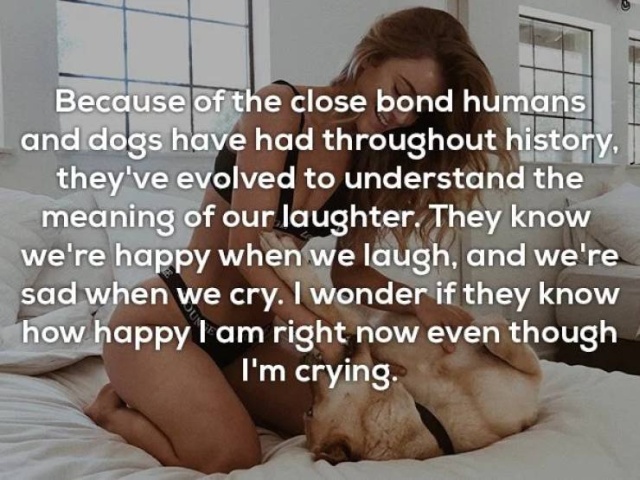 Interesting Facts (20 pics)