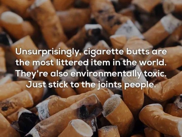Interesting Facts (20 pics)