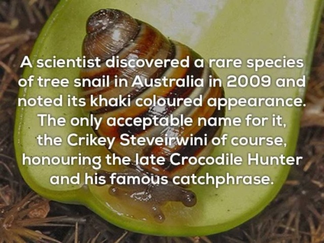 Interesting Facts (20 pics)