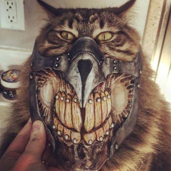 Acid Picdump (30 pics)