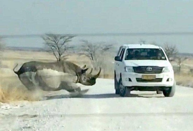Sh*t Happens (40 pics)