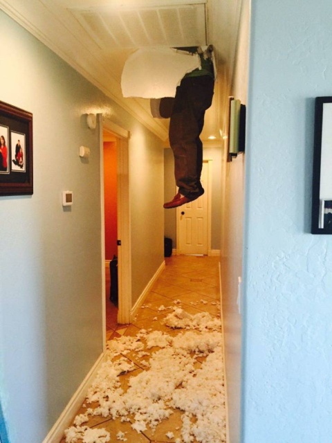 Sh*t Happens (40 pics)