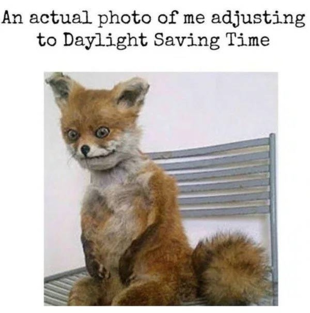 Memes For When You Need An Extra Hour Of Daylight (22 pics)