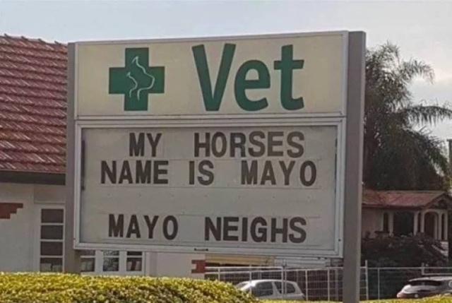 Interesting Signs (31 pics)