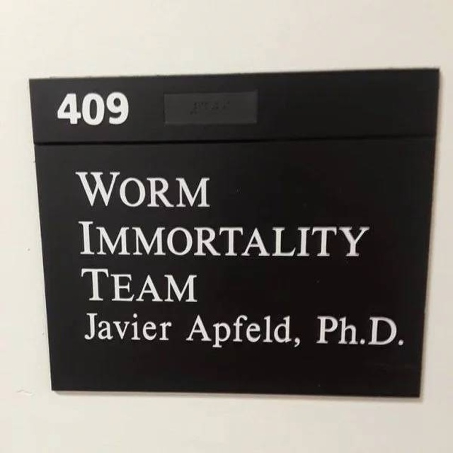 Interesting Signs (31 pics)