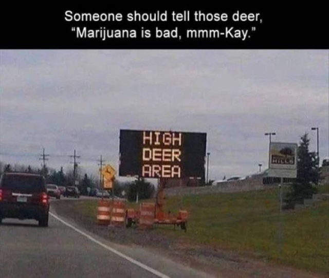 Interesting Signs (31 pics)