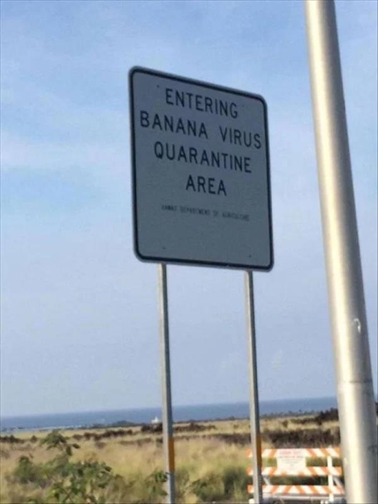 Interesting Signs (31 pics)