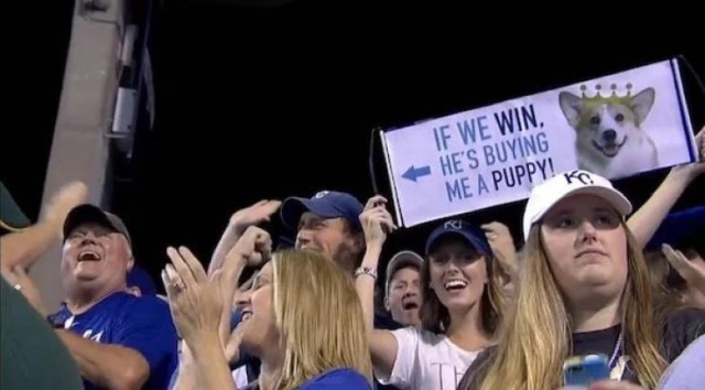 Funny Sport Signs (24 pics)