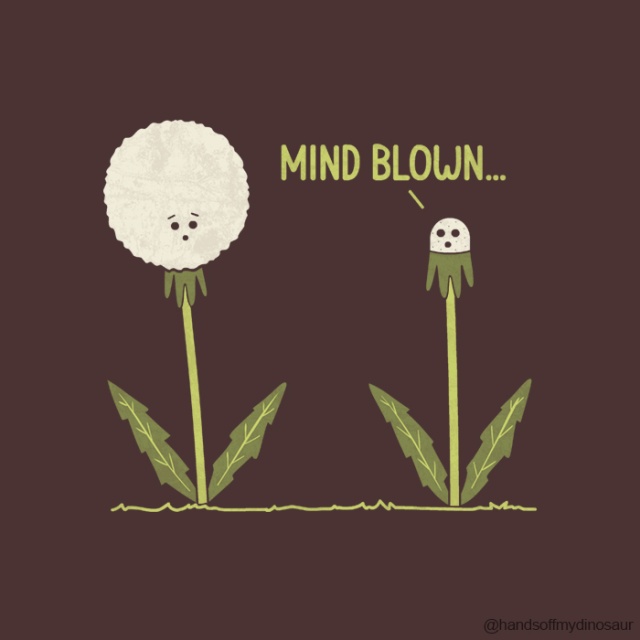 If Things Could Talk This Is What They Would Say (25 pics)