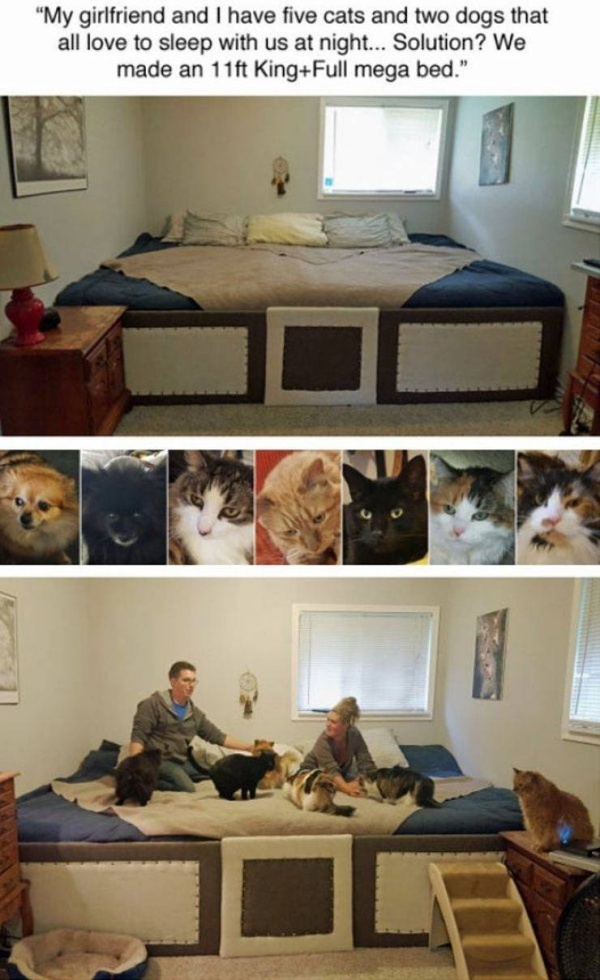 Acid Picdump (30 pics)